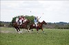 UKPA  NC Sat_1582